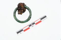 Foto von Bronzering (NHMW-PRAE-025845)